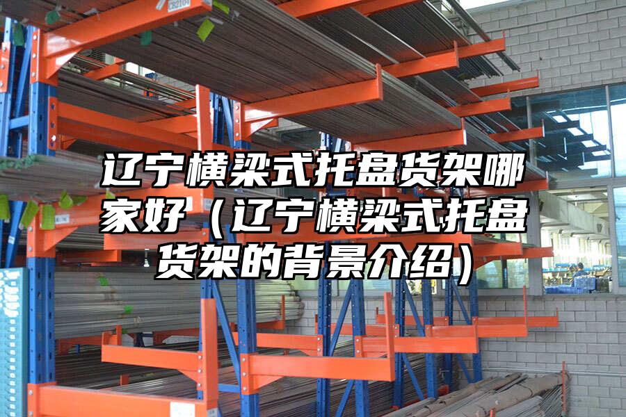 遼寧橫梁式托盤貨架哪家好（遼寧橫梁式托盤貨架的背景介紹）