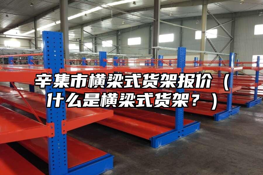 辛集市橫梁式貨架報價（什么是橫梁式貨架？）