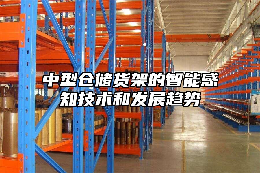 中型倉儲貨架的智能感知技術和發展趨勢