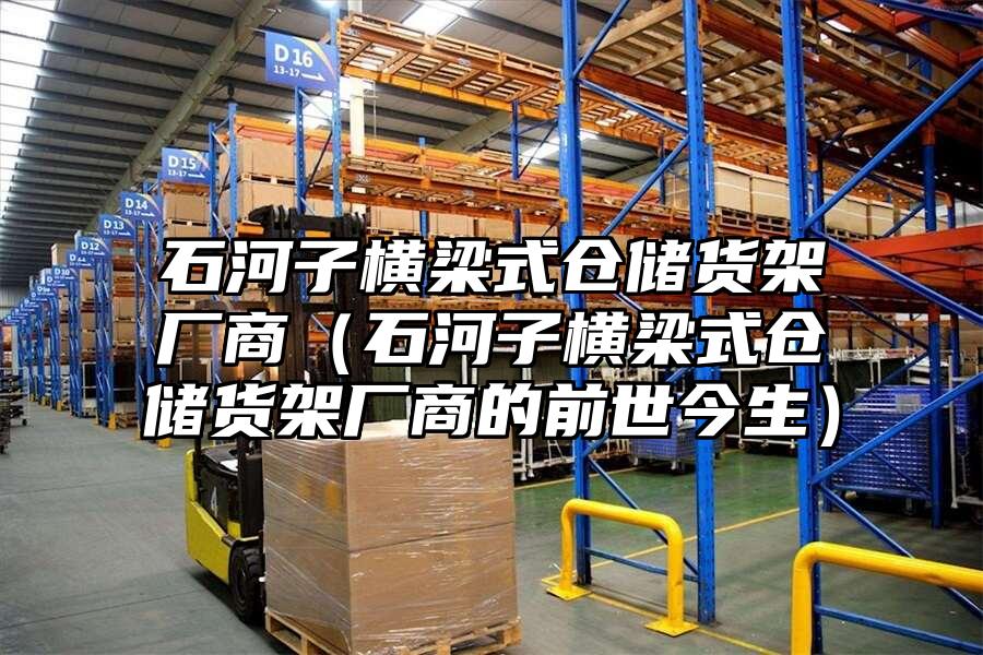 石河子橫梁式倉儲貨架廠商（石河子橫梁式倉儲貨架廠商的前世今生）