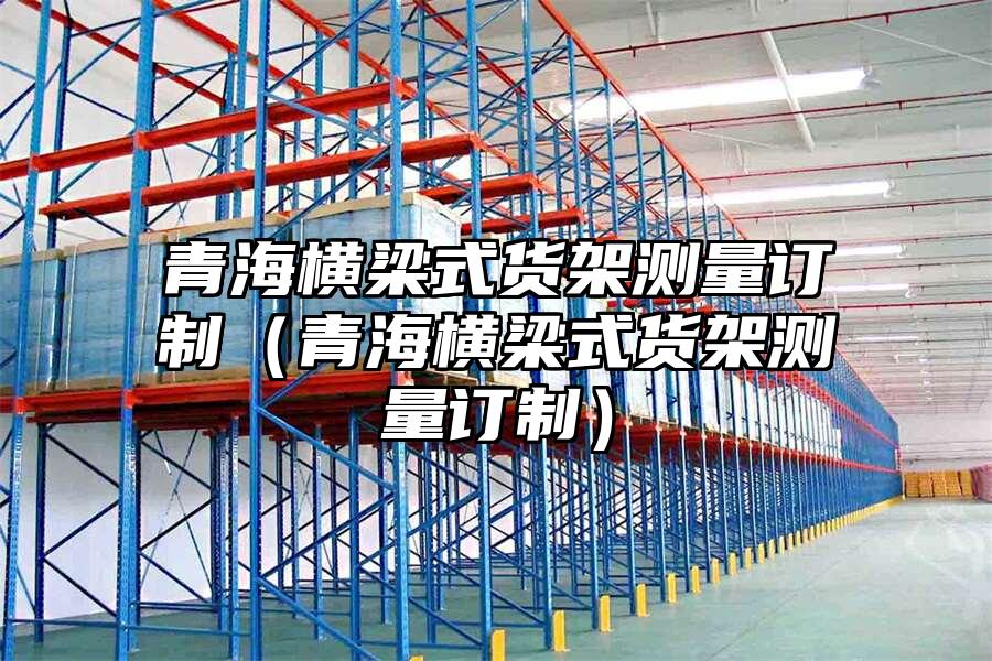 青海橫梁式貨架測量訂制（青海橫梁式貨架測量訂制）