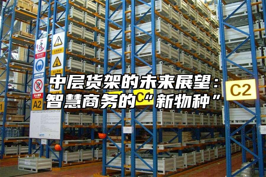 中層貨架的未來(lái)展望：智慧商務(wù)的“新物種”