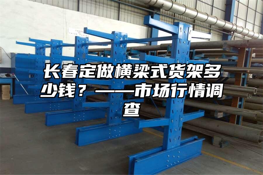 長春定做橫梁式貨架多少錢？——市場行情調(diào)查