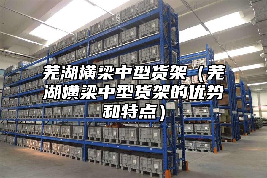 蕪湖橫梁中型貨架（蕪湖橫梁中型貨架的優勢和特點）