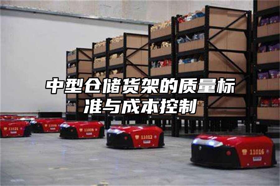 中型倉儲貨架的質量標準與成本控制