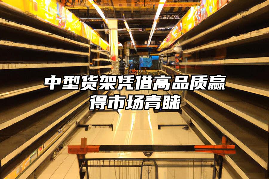 中型貨架憑借高品質(zhì)贏得市場(chǎng)青睞