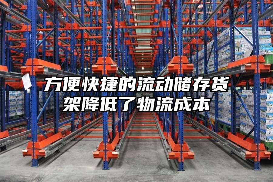 方便快捷的流動(dòng)儲(chǔ)存貨架降低了物流成本