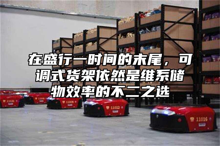 在盛行一時間的末尾，可調式貨架依然是維系儲物效率的不二之選