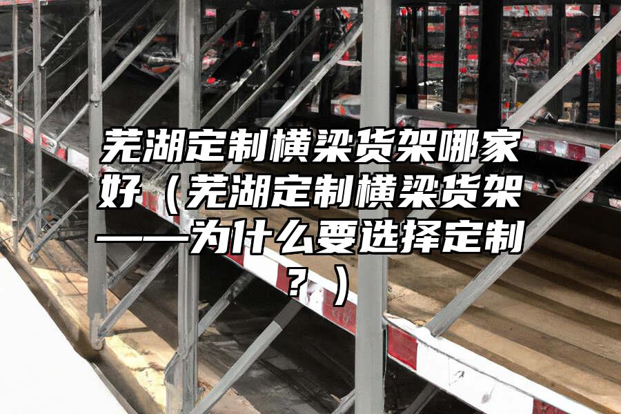 蕪湖定制橫梁貨架哪家好（蕪湖定制橫梁貨架——為什么要選擇定制？）