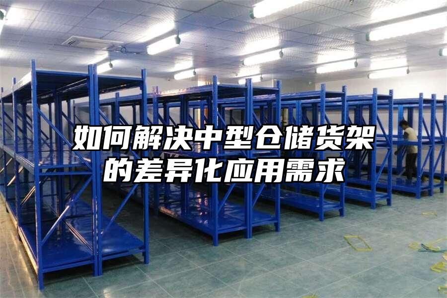 如何解決中型倉(cāng)儲(chǔ)貨架的差異化應(yīng)用需求
