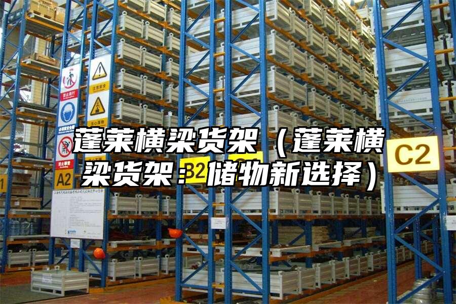 蓬萊橫梁貨架（蓬萊橫梁貨架：儲物新選擇）