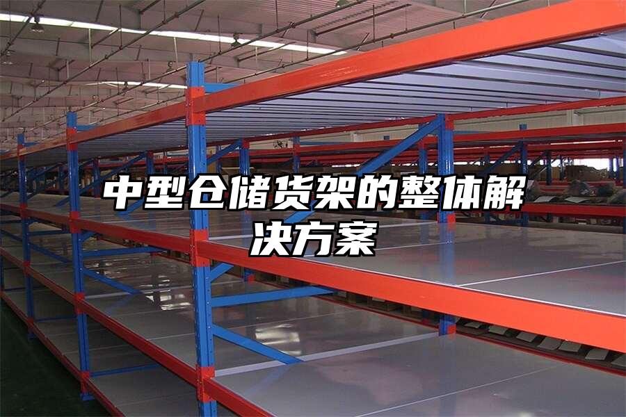 中型倉儲貨架的整體解決方案