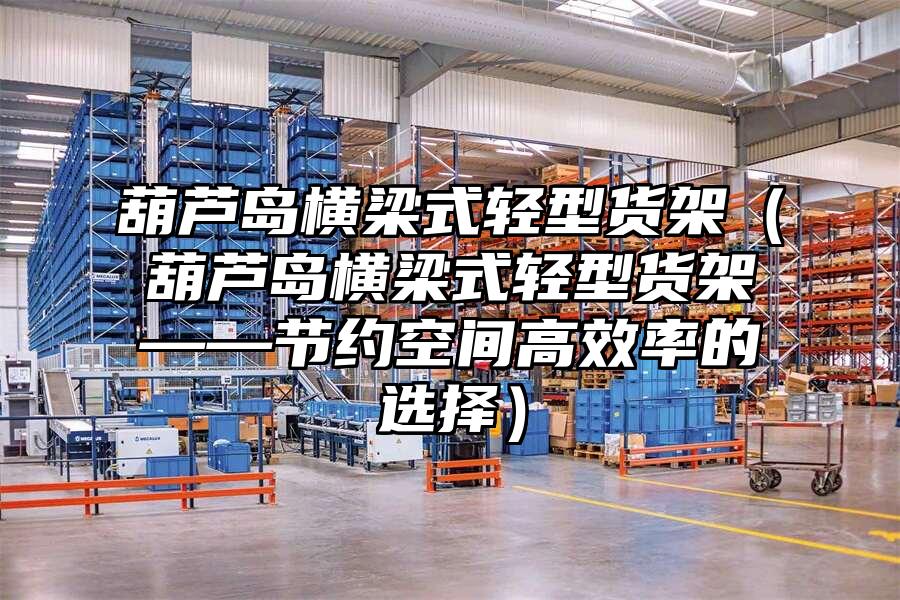 葫蘆島橫梁式輕型貨架（葫蘆島橫梁式輕型貨架——節約空間高效率的選擇）