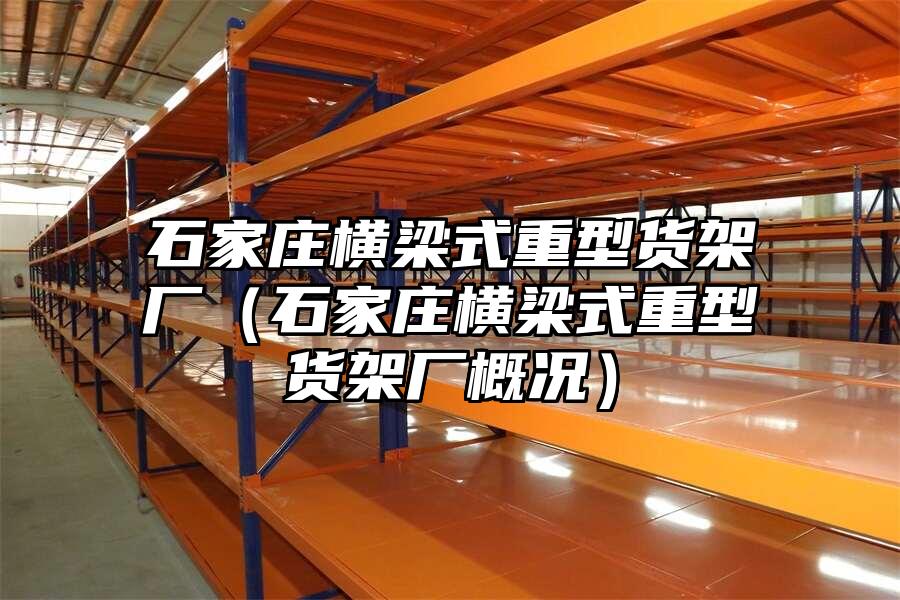 石家莊橫梁式重型貨架廠（石家莊橫梁式重型貨架廠概況）