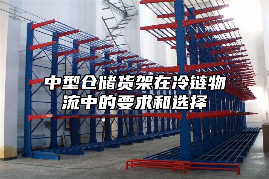 中型倉儲貨架在冷鏈物流中的要求和選擇