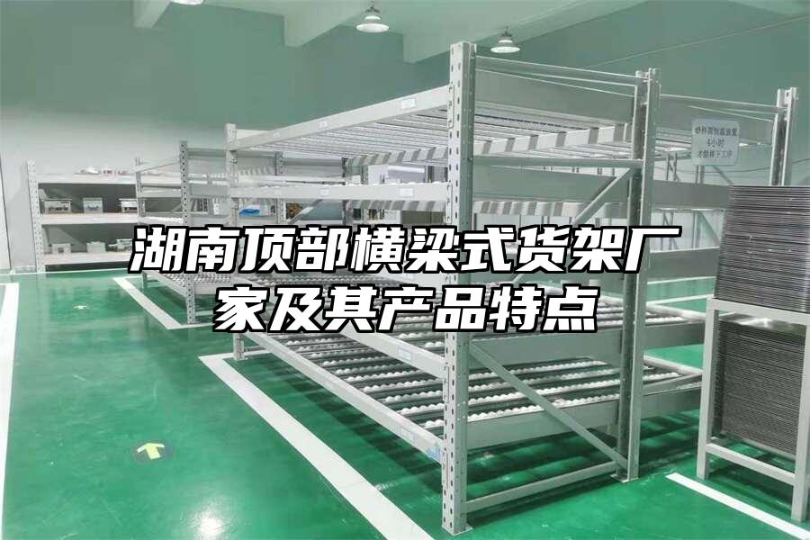 湖南頂部橫梁式貨架廠家及其產品特點