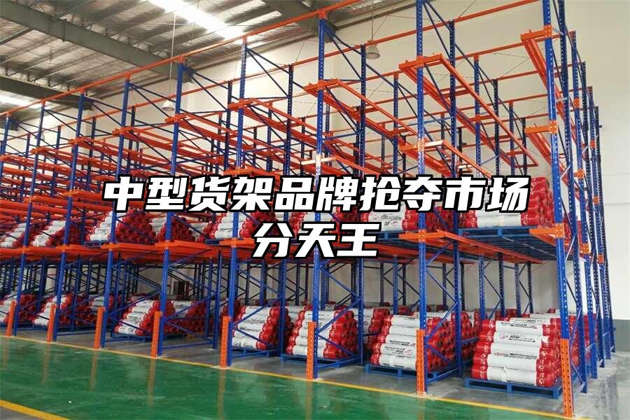 中型貨架品牌搶奪市場分天王