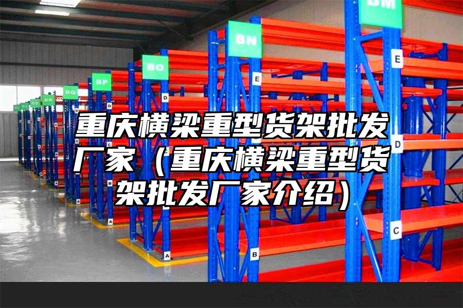 重慶橫梁重型貨架批發廠家（重慶橫梁重型貨架批發廠家介紹）