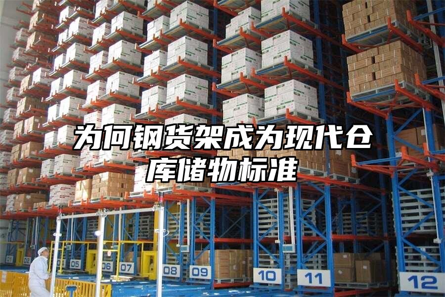 為何鋼貨架成為現(xiàn)代倉庫儲(chǔ)物標(biāo)準(zhǔn)
