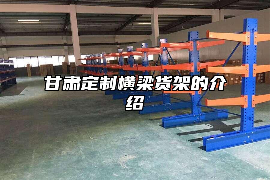 甘肅定制橫梁貨架的介紹