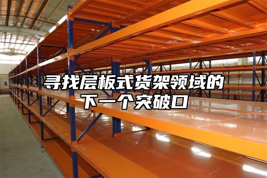 尋找層板式貨架領域的下一個突破口
