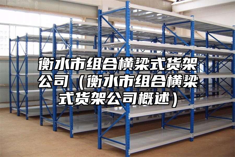 衡水市組合橫梁式貨架公司（衡水市組合橫梁式貨架公司概述）
