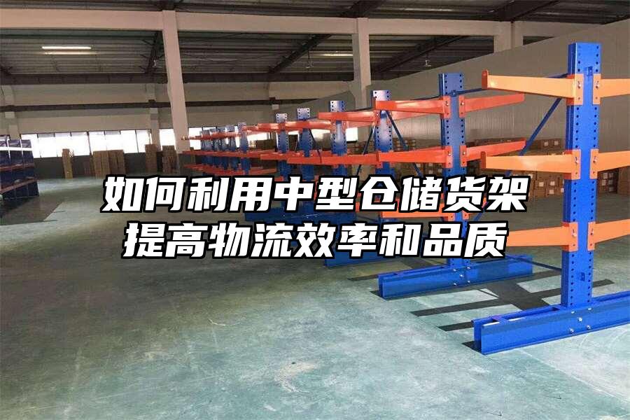 如何利用中型倉儲貨架提高物流效率和品質