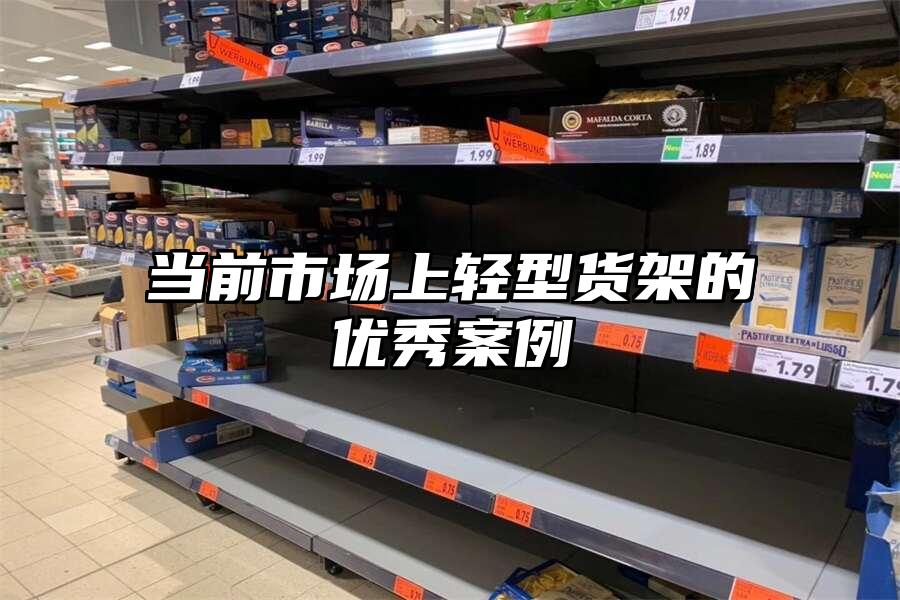 當(dāng)前市場上輕型貨架的優(yōu)秀案例