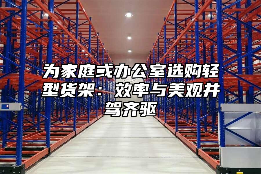 為家庭或辦公室選購輕型貨架：效率與美觀并駕齊驅(qū)