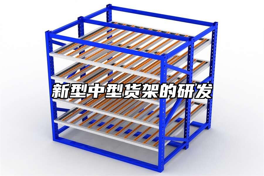 新型中型貨架的研發