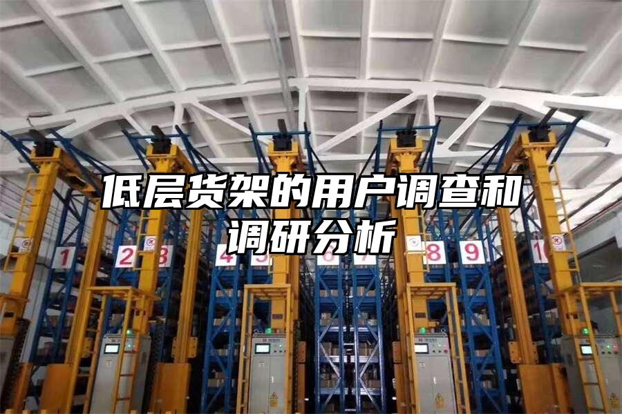 低層貨架的用戶調查和調研分析