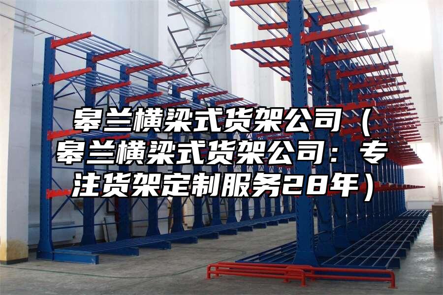 皋蘭橫梁式貨架公司（皋蘭橫梁式貨架公司：專注貨架定制服務28年）
