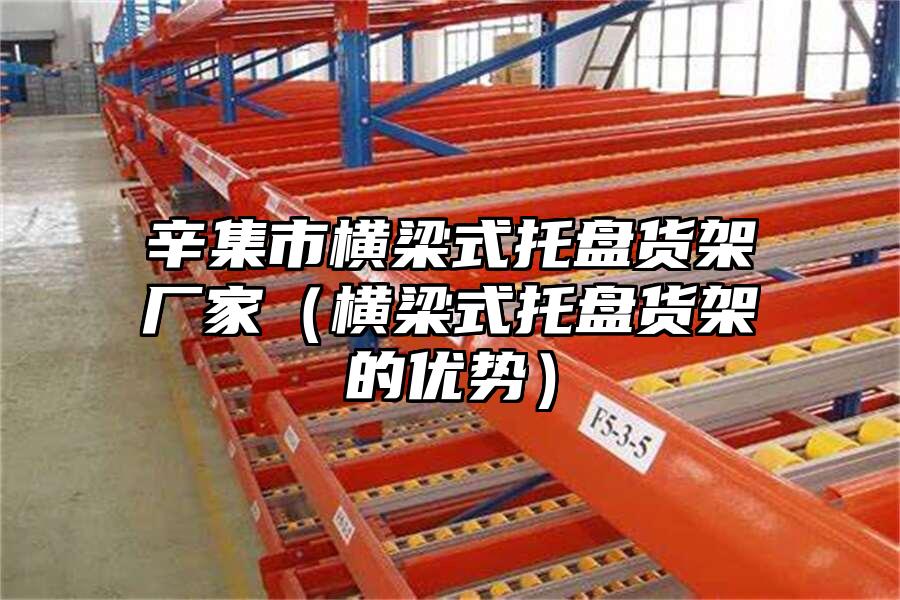 辛集市橫梁式托盤貨架廠家（橫梁式托盤貨架的優(yōu)勢）