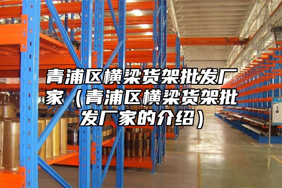 青浦區橫梁貨架批發廠家（青浦區橫梁貨架批發廠家的介紹）
