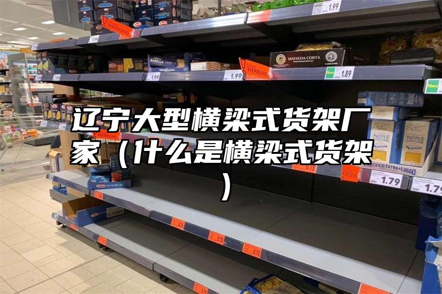 遼寧大型橫梁式貨架廠家（什么是橫梁式貨架）