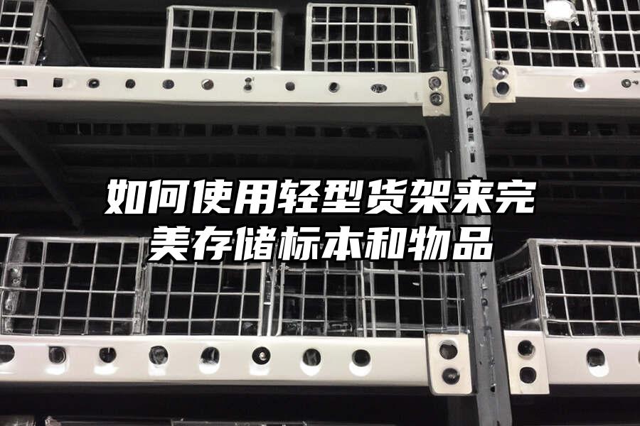 如何使用輕型貨架來完美存儲標本和物品
