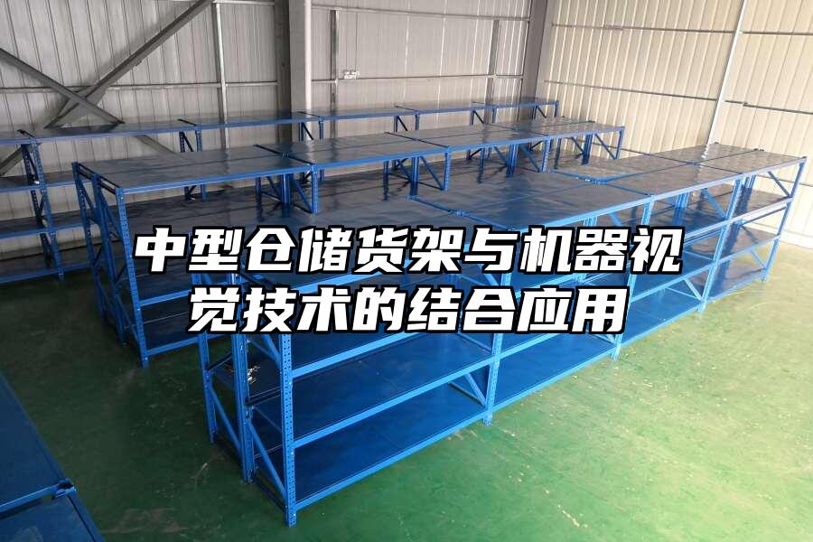 中型倉儲貨架與機器視覺技術(shù)的結(jié)合應用
