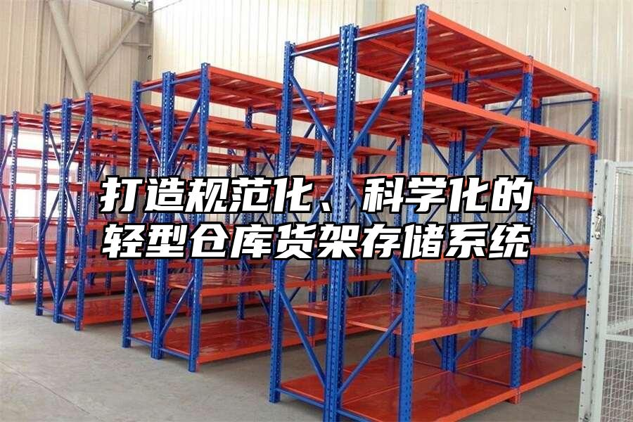 打造規范化、科學化的輕型倉庫貨架存儲系統