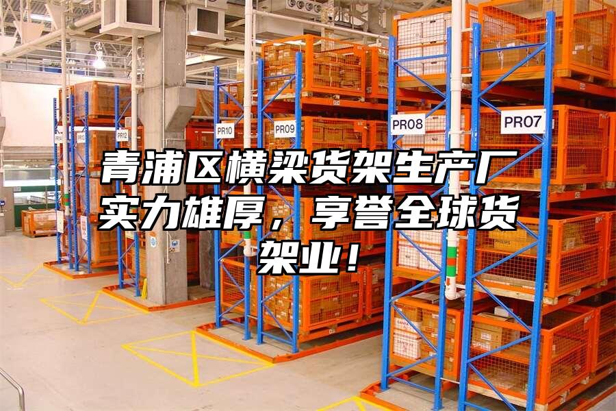 青浦區橫梁貨架生產廠實力雄厚，享譽全球貨架業！