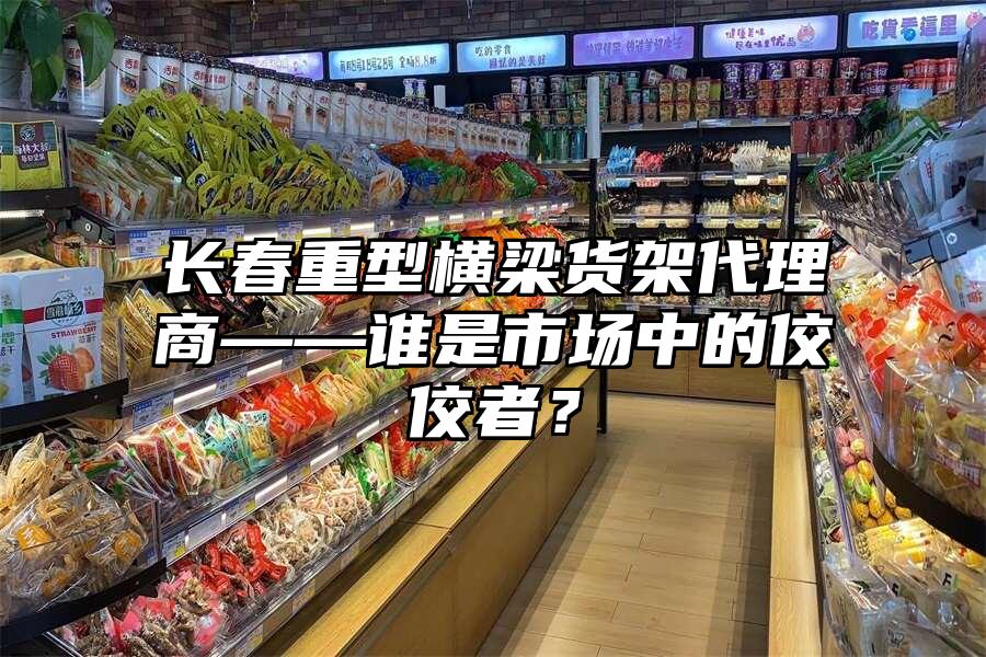 長春重型橫梁貨架代理商——誰是市場中的佼佼者？