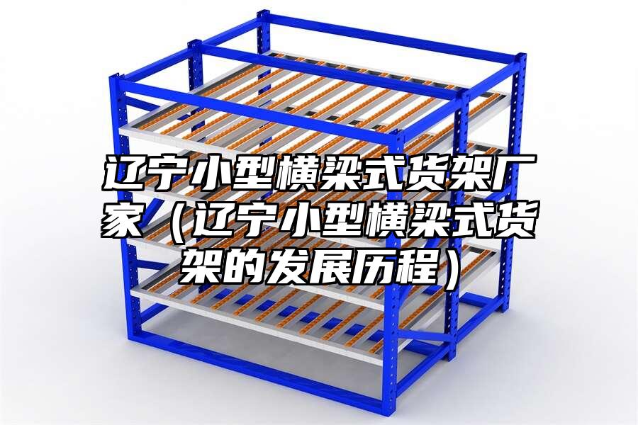 遼寧小型橫梁式貨架廠家（遼寧小型橫梁式貨架的發(fā)展歷程）