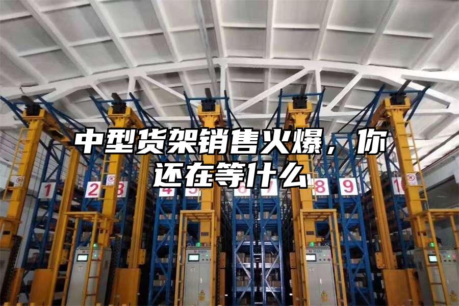 中型貨架銷售火爆,你還在等什么