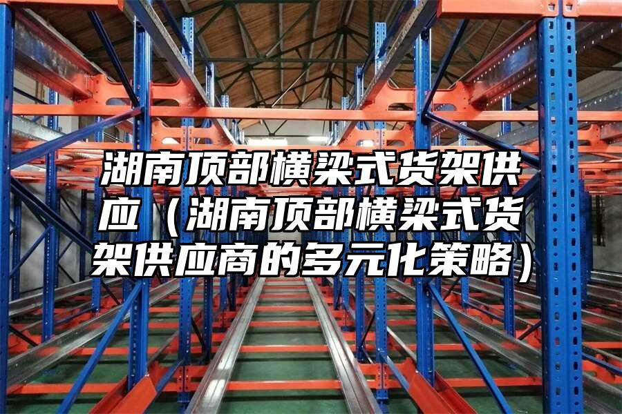 湖南頂部橫梁式貨架供應(yīng)（湖南頂部橫梁式貨架供應(yīng)商的多元化策略）