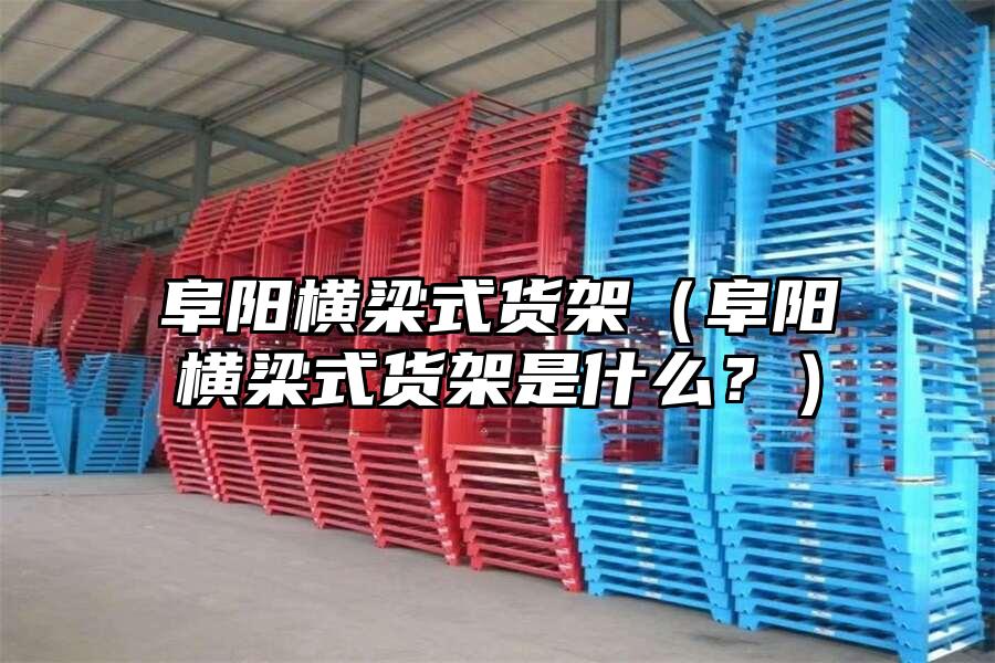 阜陽橫梁式貨架（阜陽橫梁式貨架是什么？）