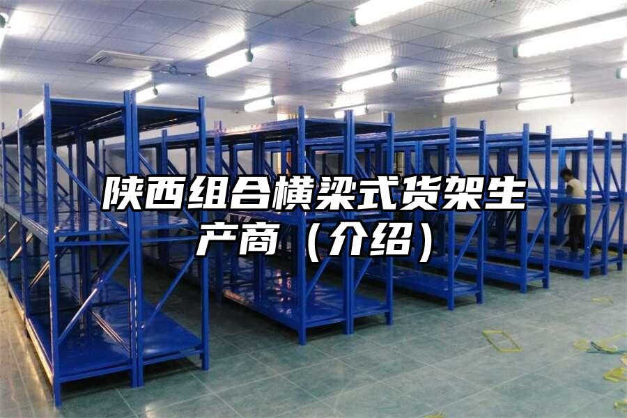 陜西組合橫梁式貨架生產商（介紹）