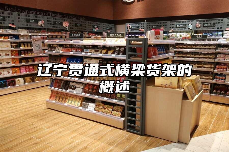遼寧貫通式橫梁貨架的概述