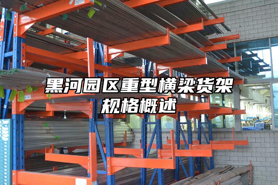 黑河園區(qū)重型橫梁貨架規(guī)格概述