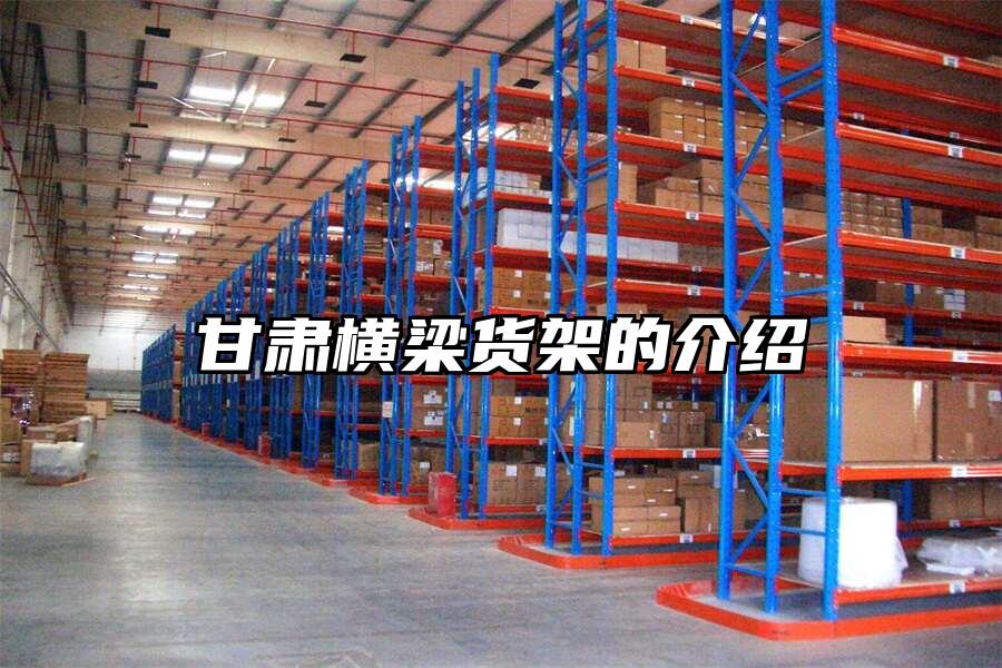 甘肅橫梁貨架的介紹