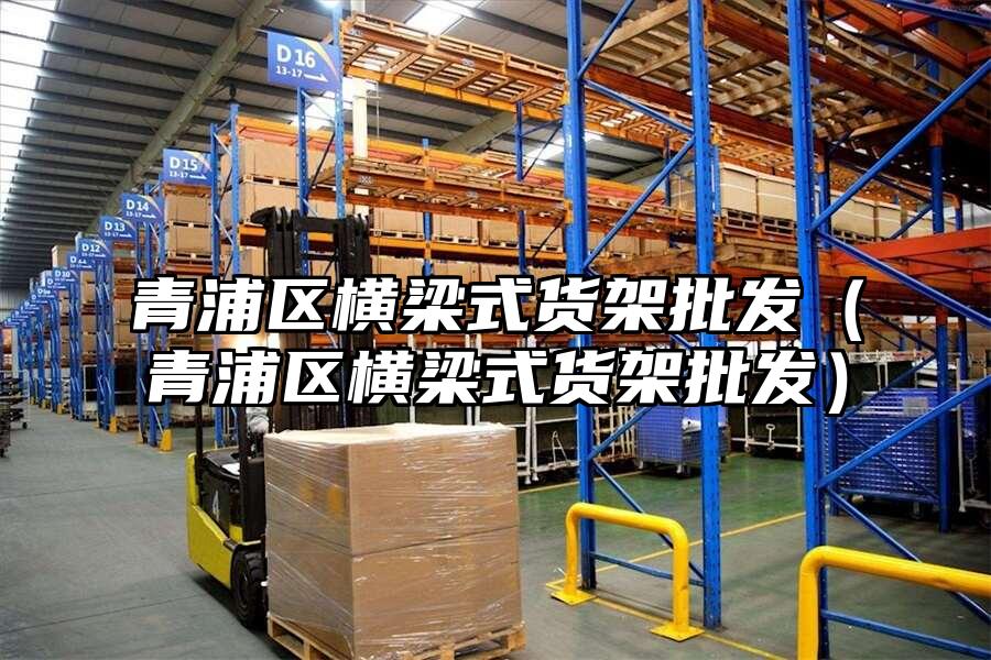 青浦區橫梁式貨架批發（青浦區橫梁式貨架批發）