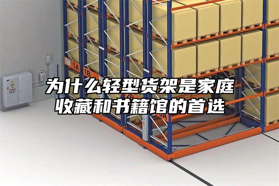 為什么輕型貨架是家庭收藏和書籍館的首選
